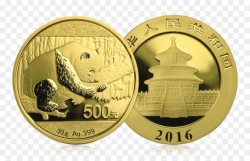 Золотая монета "Панда", 500 юаней 30 грамм разные года с 2016 г.